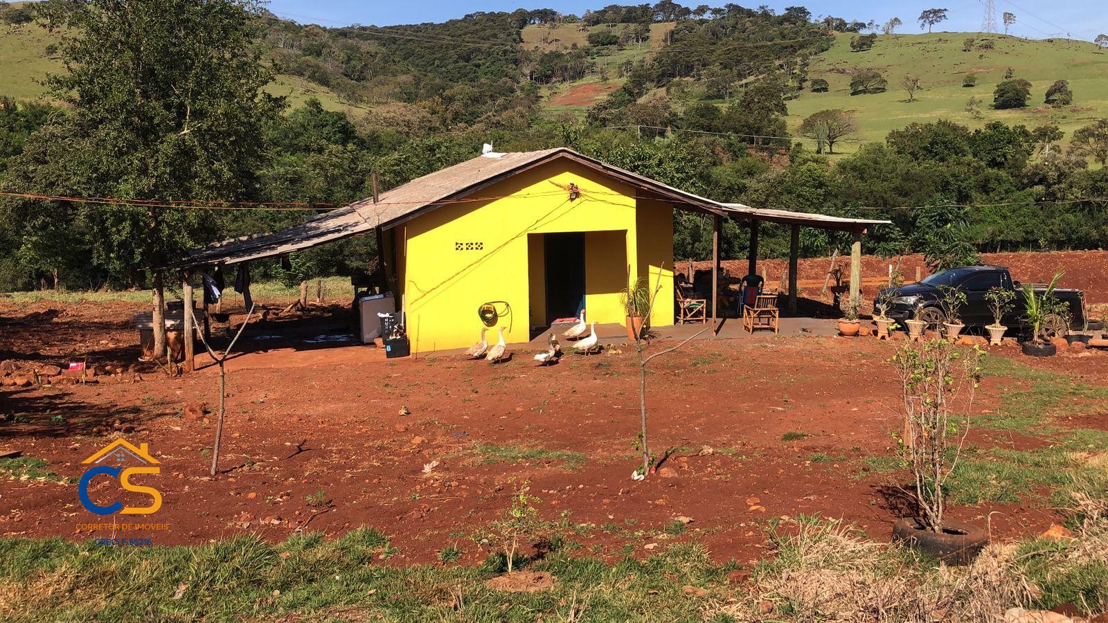 Sítio localizado na médio Rio Branco Missal - Foto 5