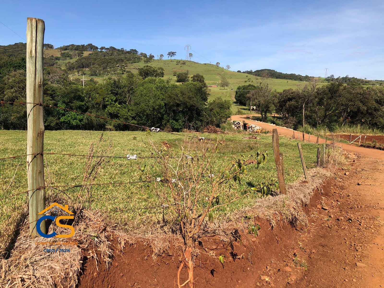 Sítio localizado na médio Rio Branco Missal - Foto 9