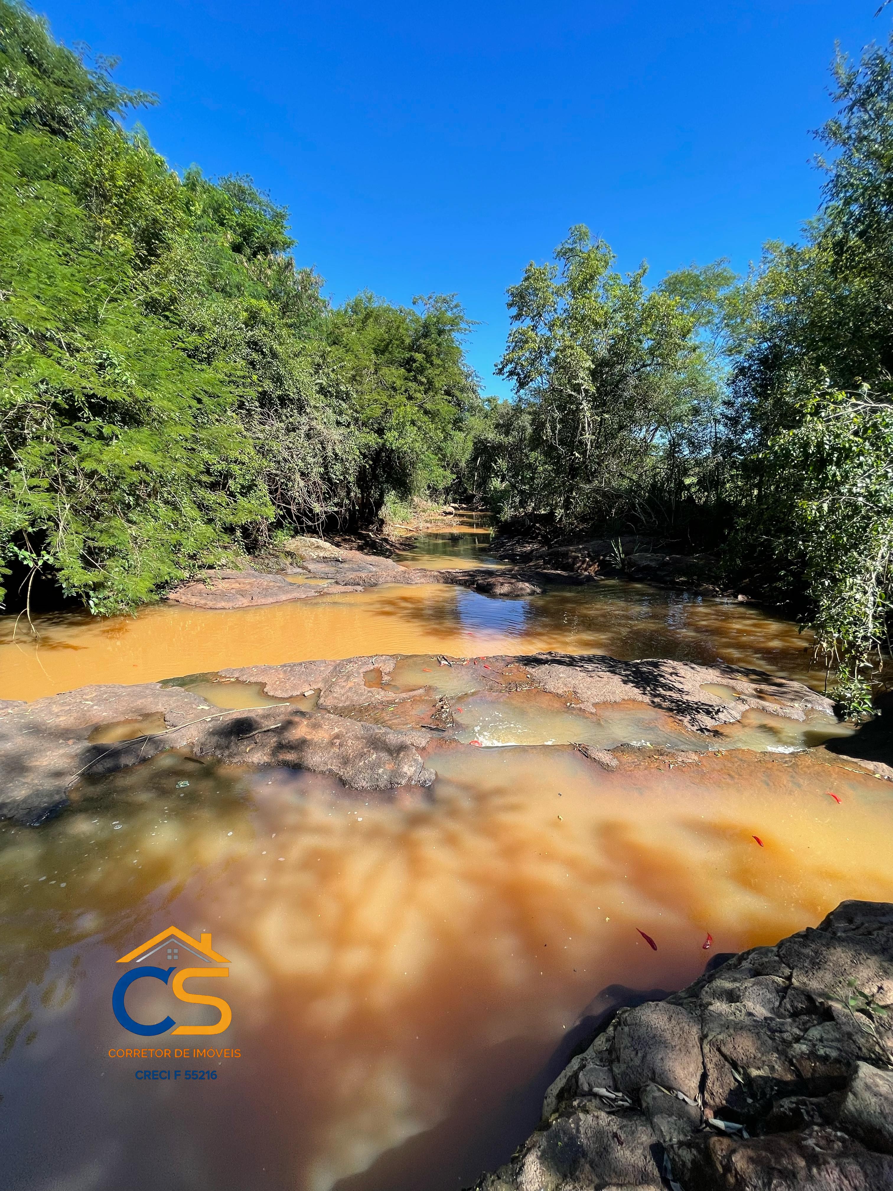 Sítio localizado na médio Rio Branco Missal - Foto 17