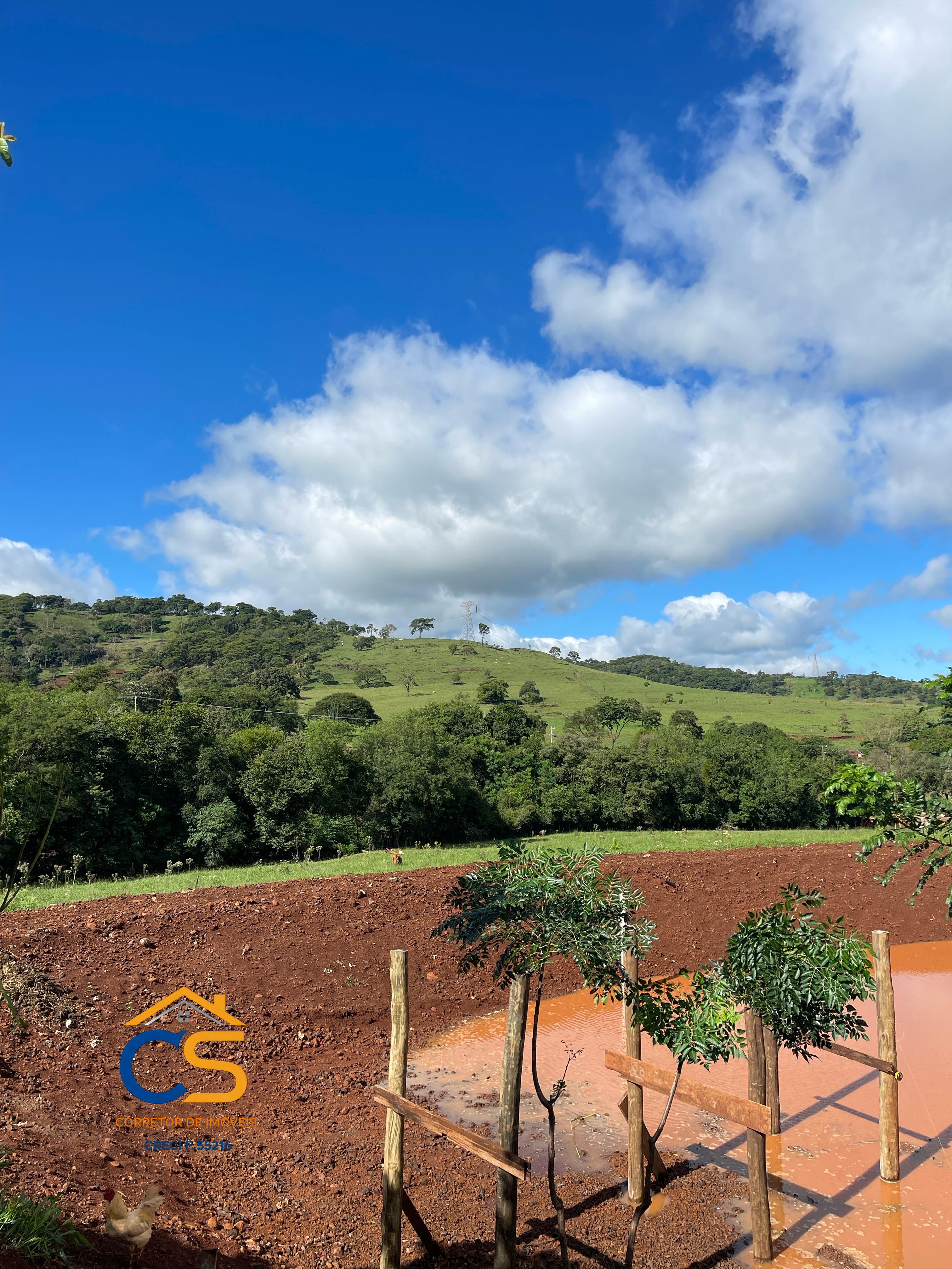 Sítio localizado na médio Rio Branco Missal - Foto 16