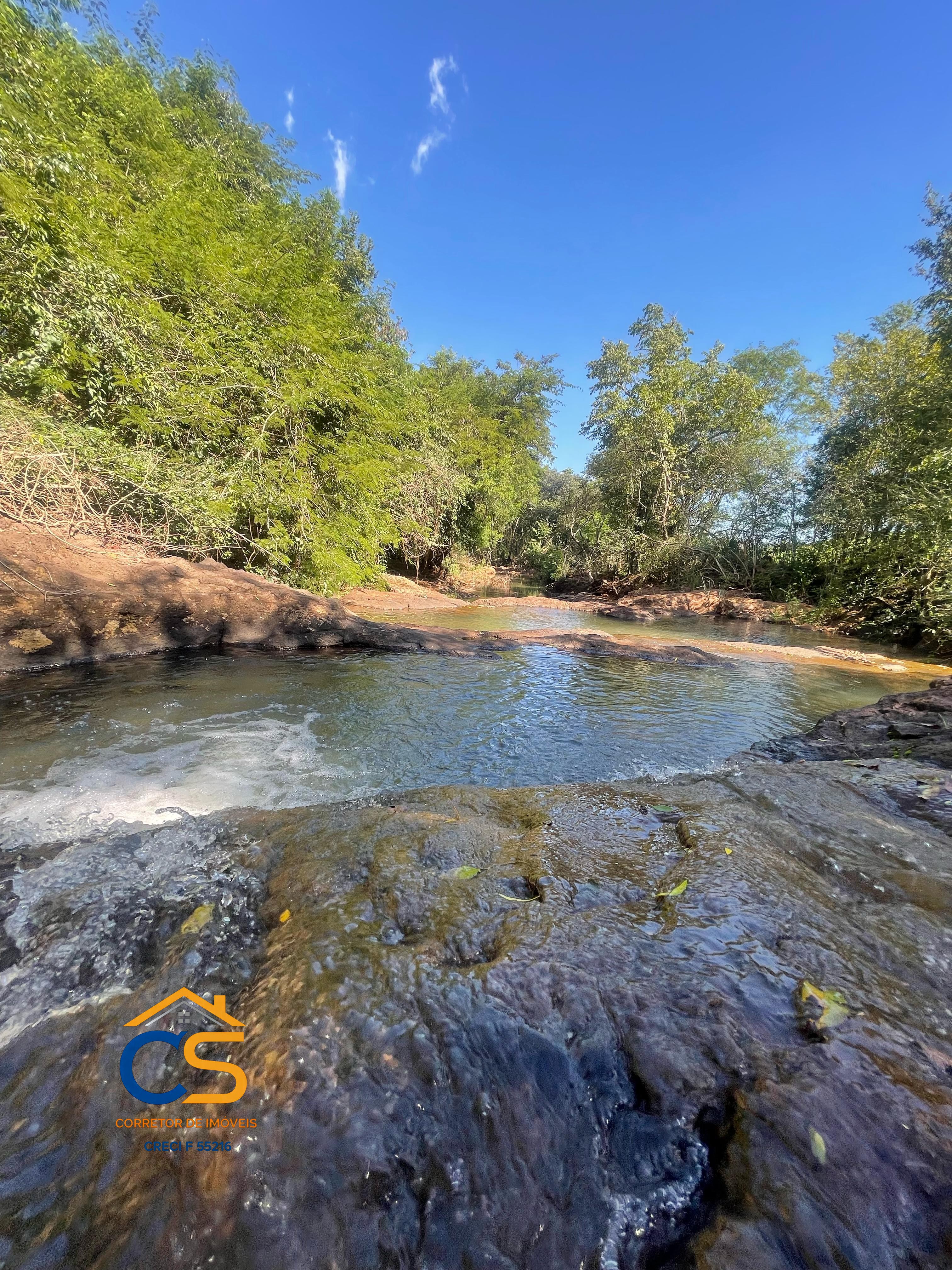 Sítio localizado na médio Rio Branco Missal - Foto 7