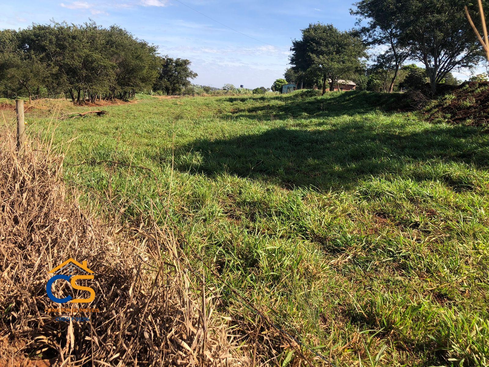 Sítio localizado na médio Rio Branco Missal - Foto 3