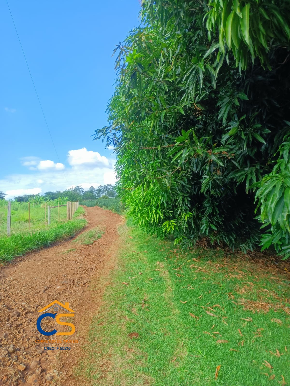 Chácara para Venda - Linha São Paulo - Ramilândia, PR - Foto 3