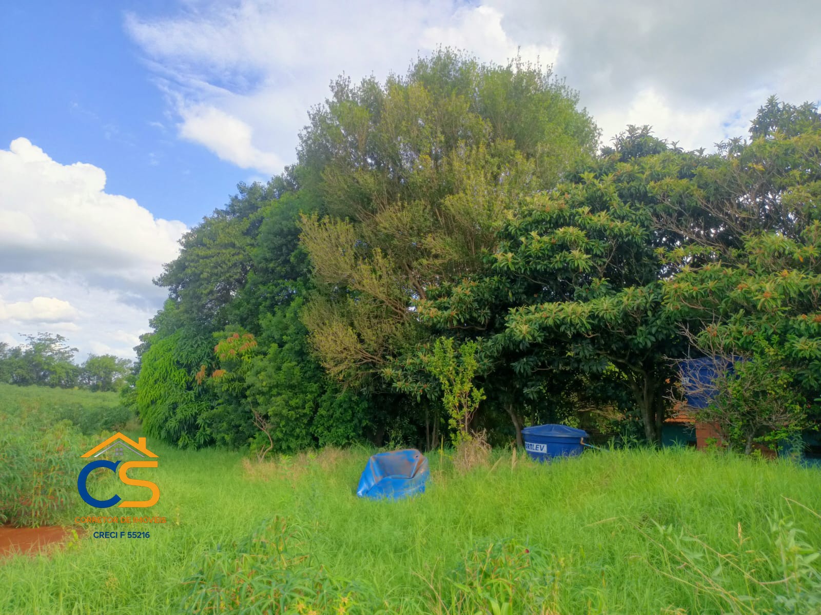 Chácara para Venda - Linha São Paulo - Ramilândia, PR - Foto 2