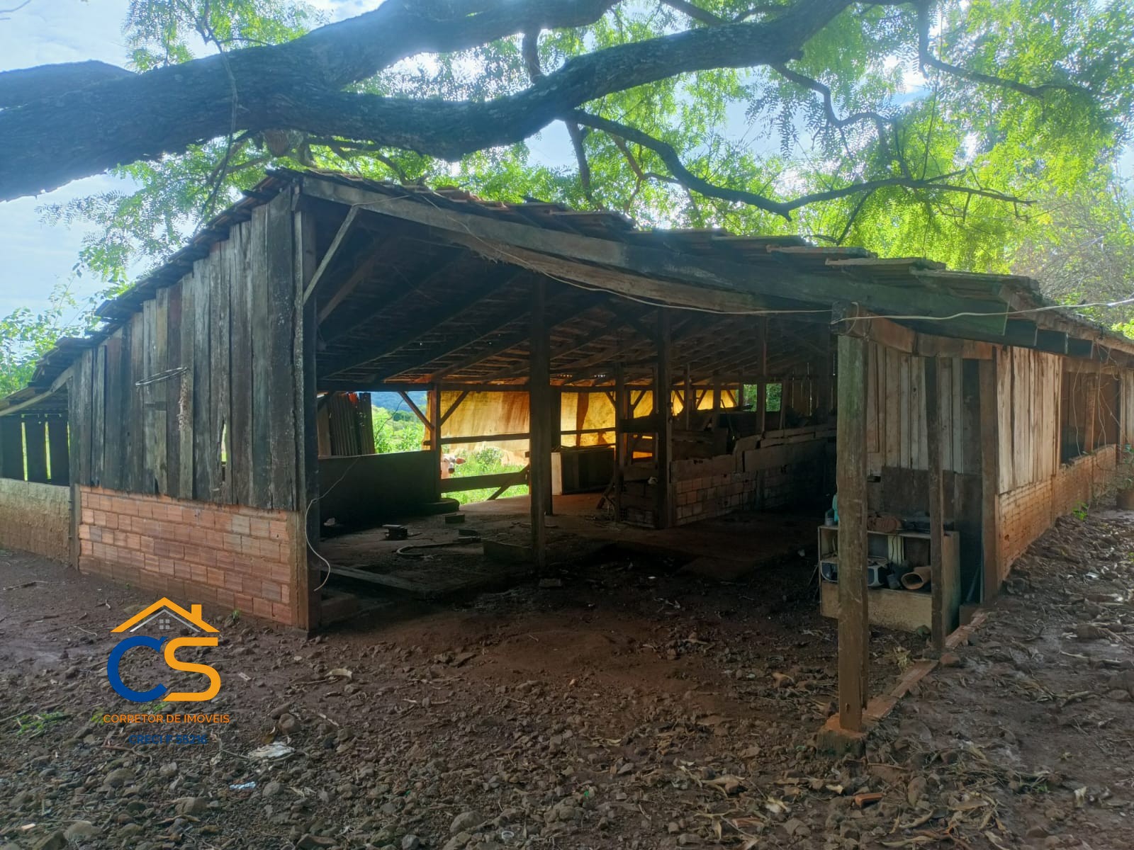 Chácara para Venda - Linha São Paulo - Ramilândia, PR - Foto 4