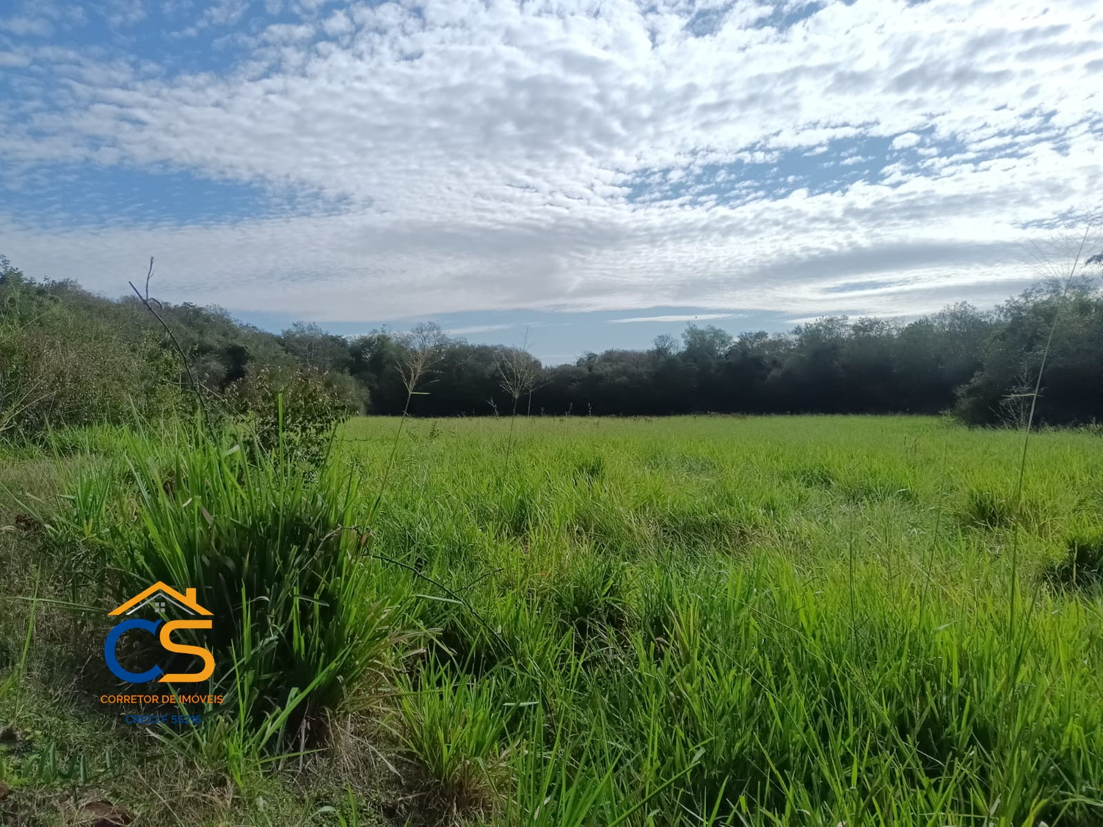 Sitio Linha São Pedro - Missal -PR - Foto 4