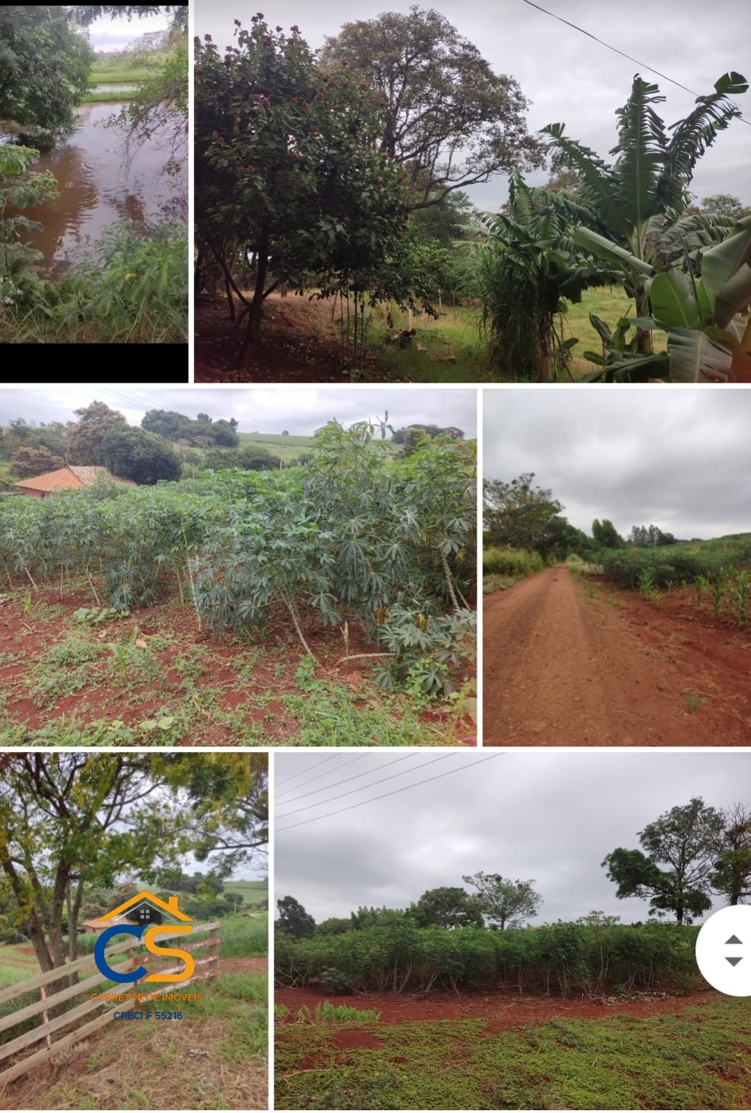 Chácara à Venda em São José das Palmeiras -Pr - Foto 4