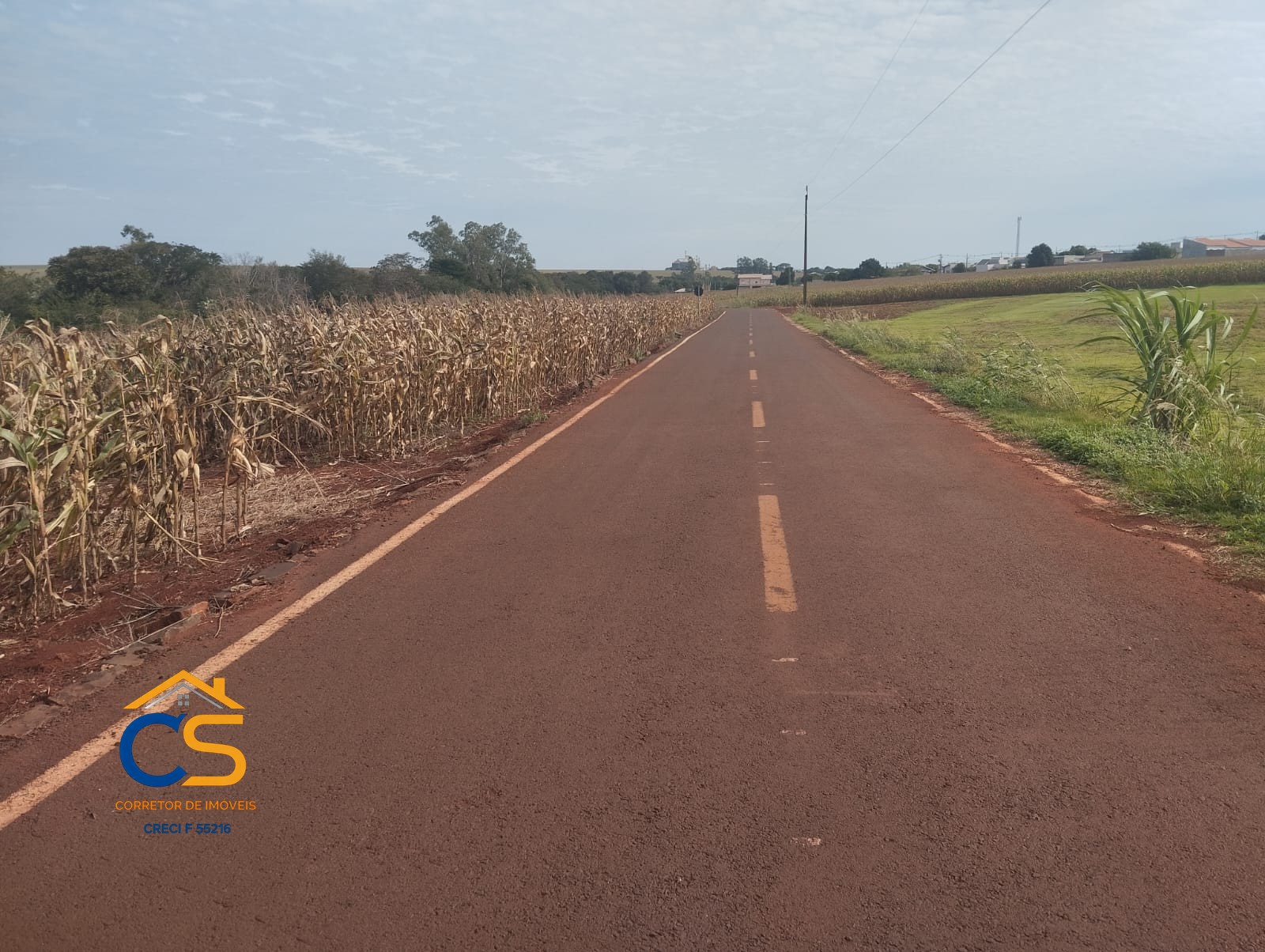 Chácara à Venda 2,42 hectares Itaipulândia -PR - Foto 4