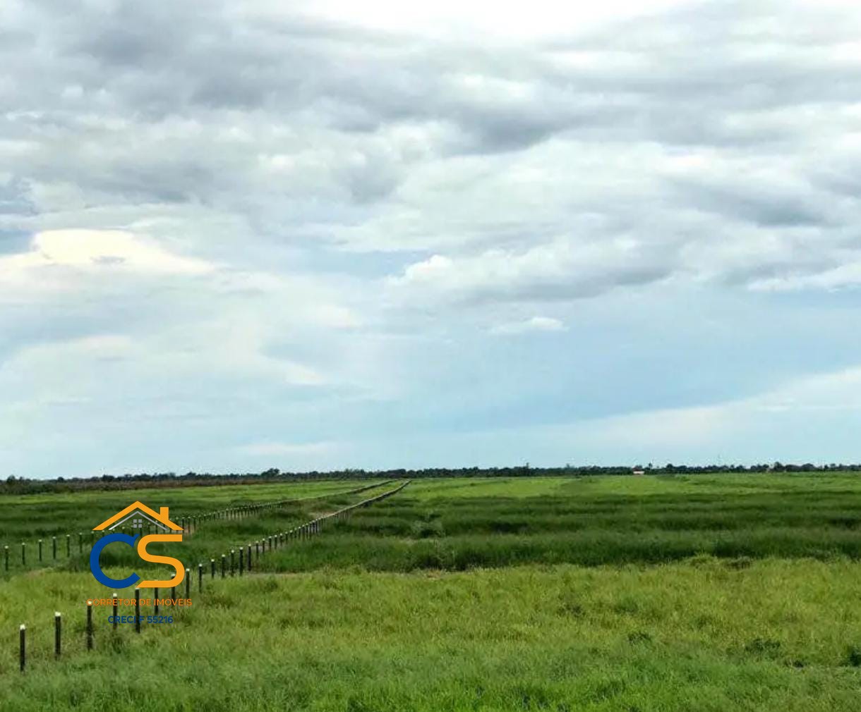 Fazenda á Venda 326 Alqueires | Primavera – RONDÔNIA - Foto 4