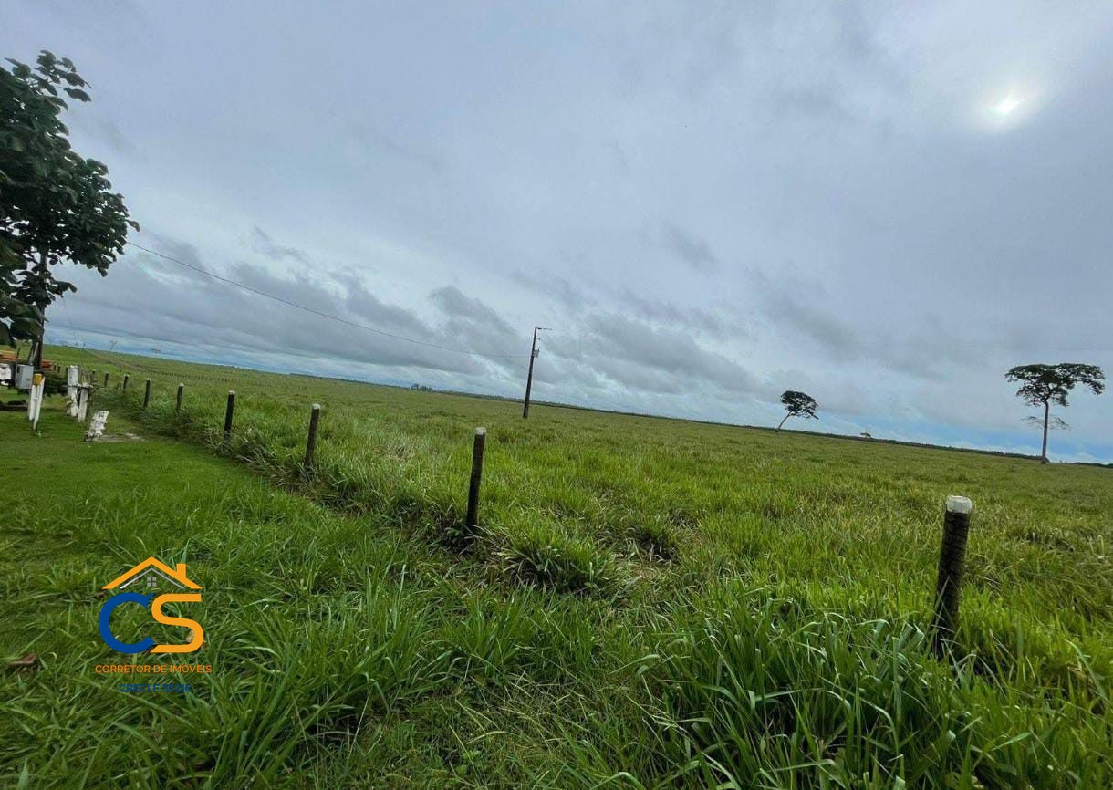 Fazenda á Venda 326 Alqueires  | Primavera – RONDÔNIA - Foto 6