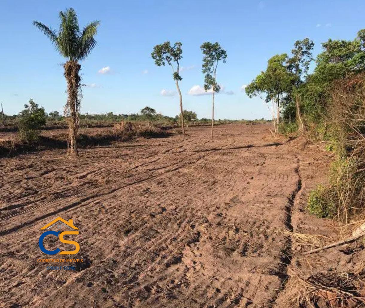 Fazenda á Venda 326 Alqueires  | Primavera – RONDÔNIA - Foto 7