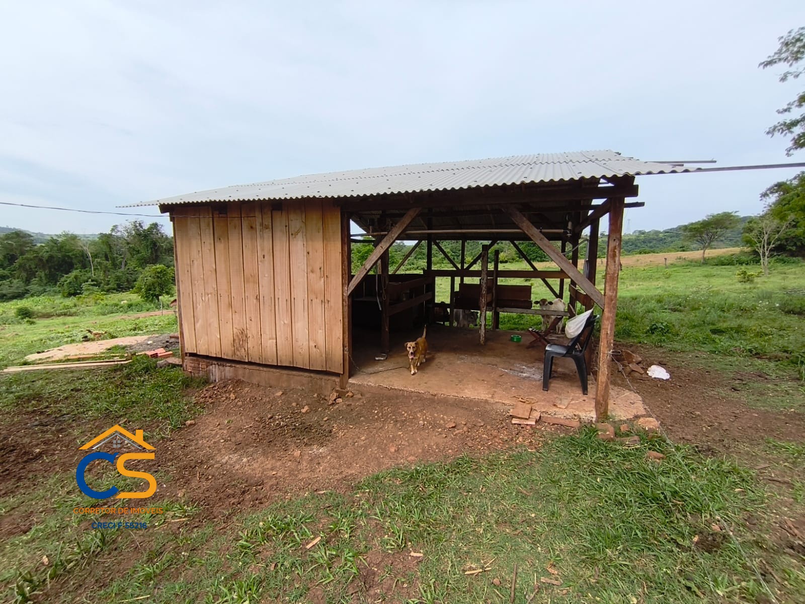 Fazenda á Venda 326 Alqueires  | Primavera – RONDÔNIA - Foto 8