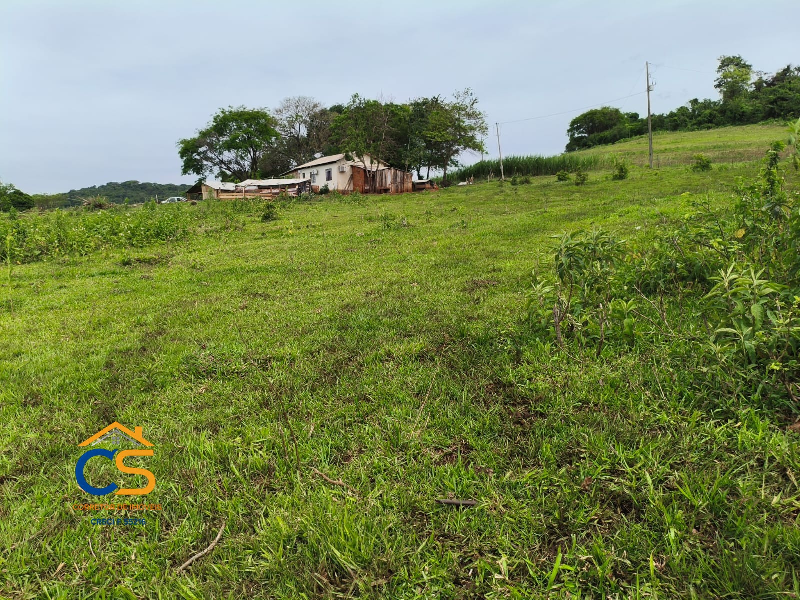 Fazenda á Venda 326 Alqueires  | Primavera – RONDÔNIA - Foto 9