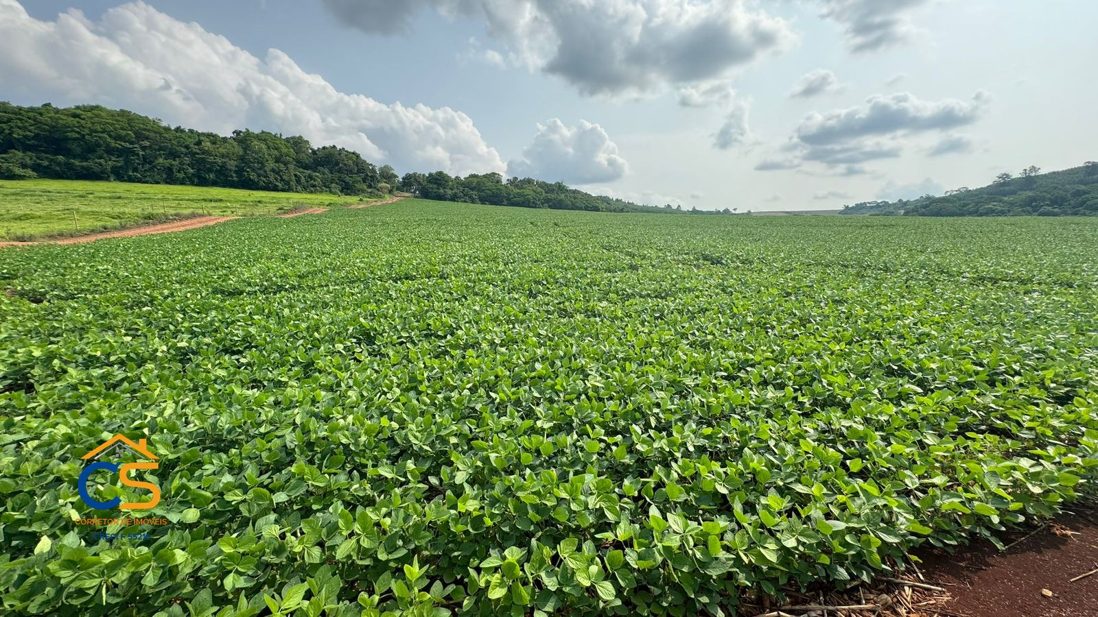 Sítio em São Pedro do Iguaçu próximo a Toledo 24 km da 277, 22,28 alqueires