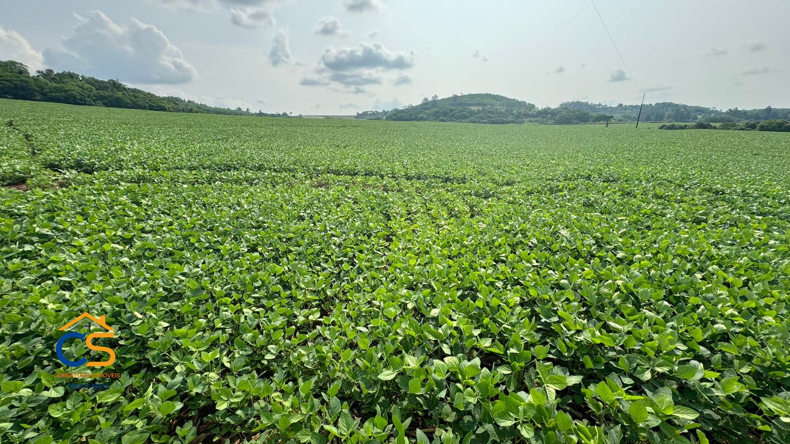 Sítio  em São Pedro do Iguaçu próximo a Toledo 19 km da 277,  22,28 alqueires - Foto 10