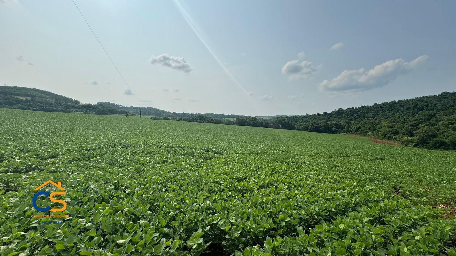Sítio  em São Pedro do Iguaçu próximo a Toledo 19 km da 277,  22,28 alqueires - Foto 9