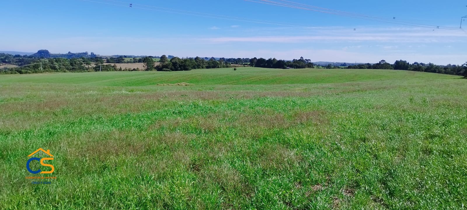 Sítio às margens da PR-170, no município de Pinhão-PR - Foto 5