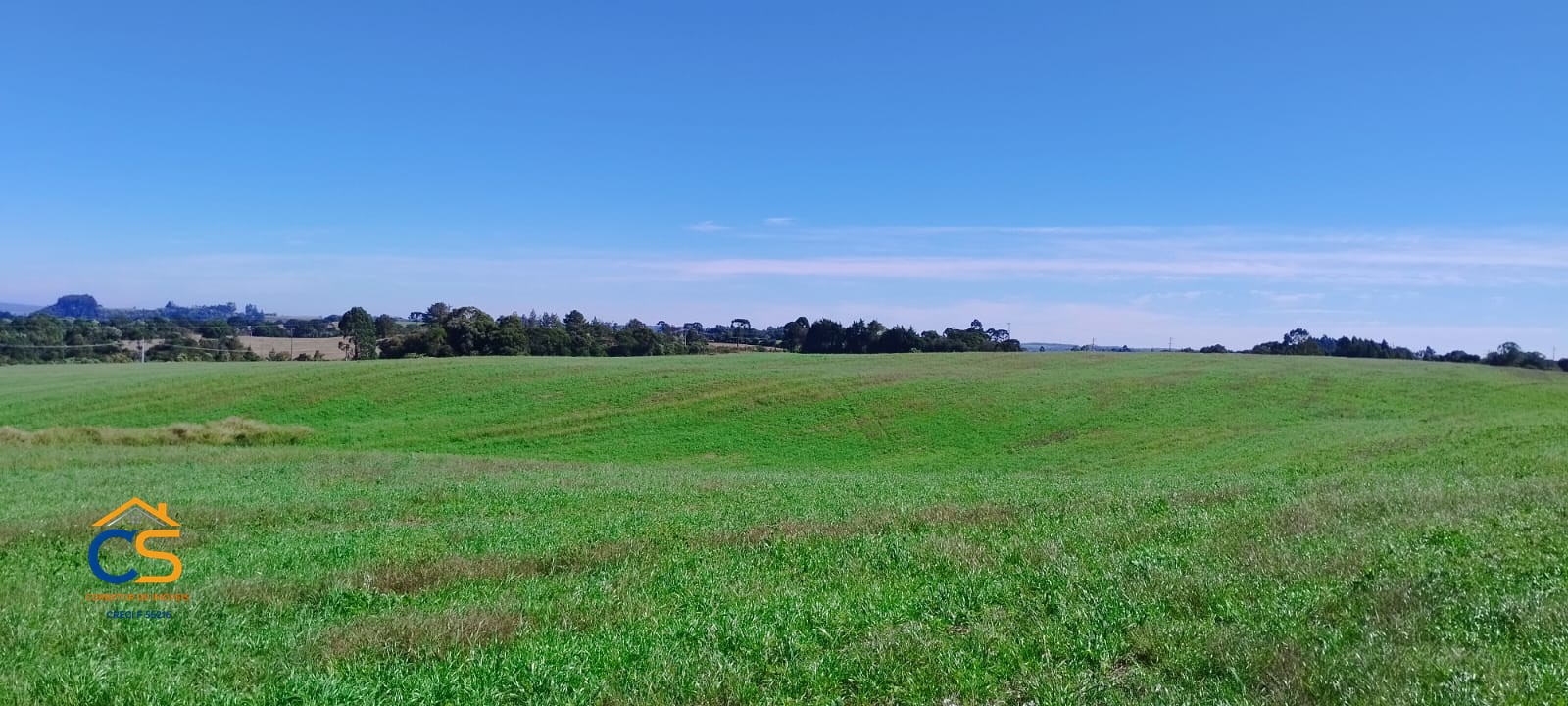 Sítio às margens da PR-170, no município de Pinhão-PR - Foto 6