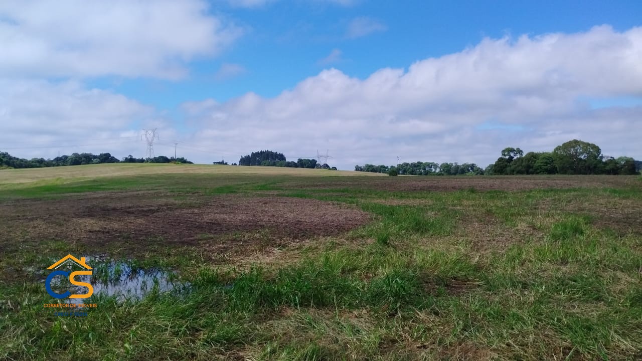 Sítio às margens da PR-170, no município de Pinhão-PR