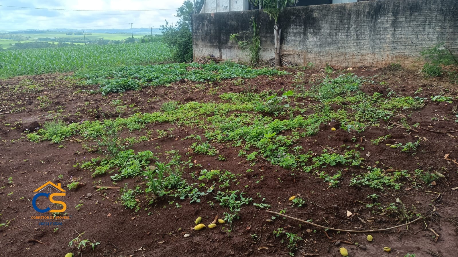 Casa para venda em Dom Armando, em alvenaria, com 70 M² - Foto 9