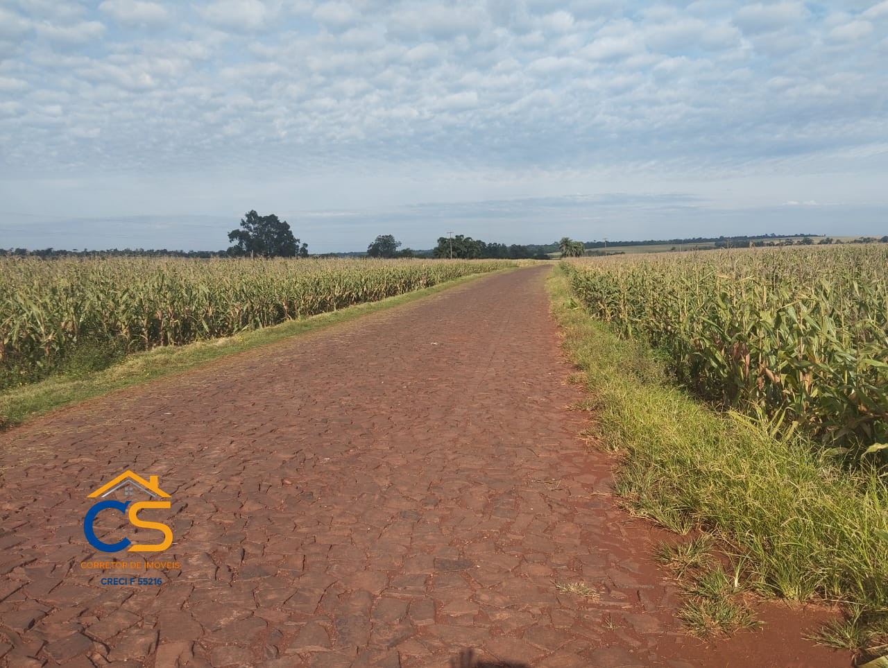 Sitio a venda 3.6 Alqueires Serranópolis do Iguaçu -Pr