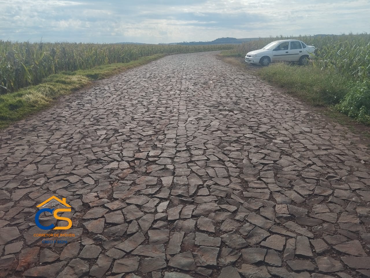 Sitio a venda 3.6 Alqueires Serranópolis do Iguaçu -Pr - Foto 6