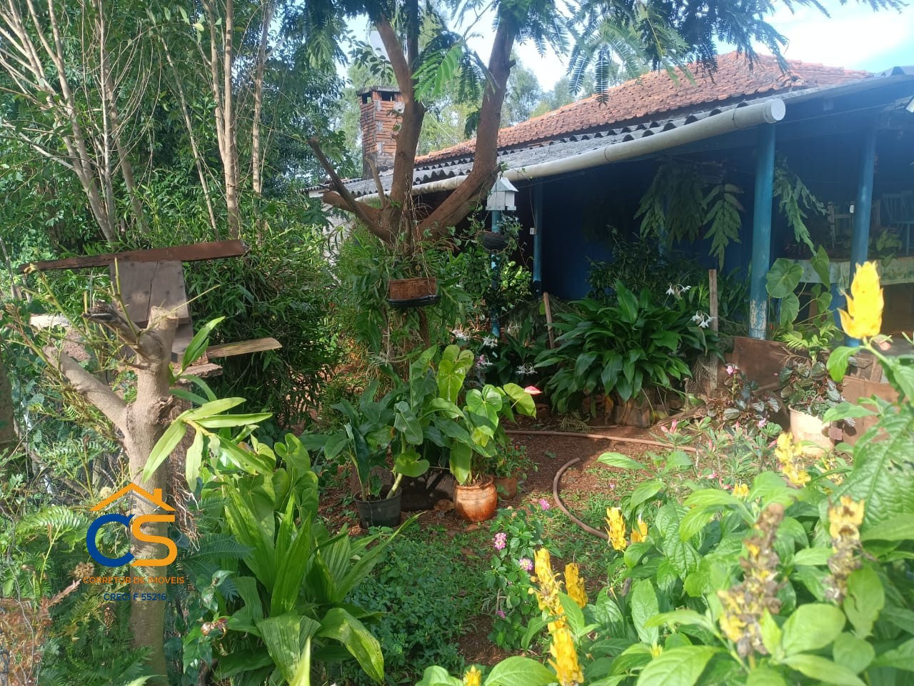 Sitio a venda 3.6 Alqueires Serranópolis do Iguaçu -Pr - Foto 8