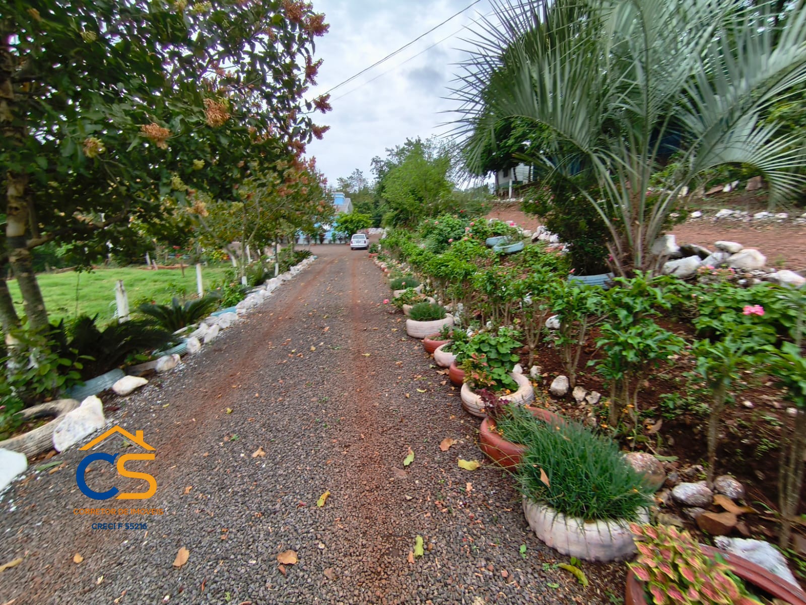 Chácara com Granja de Suínos à Venda em Vista Alegre, Missal PR - Foto 14