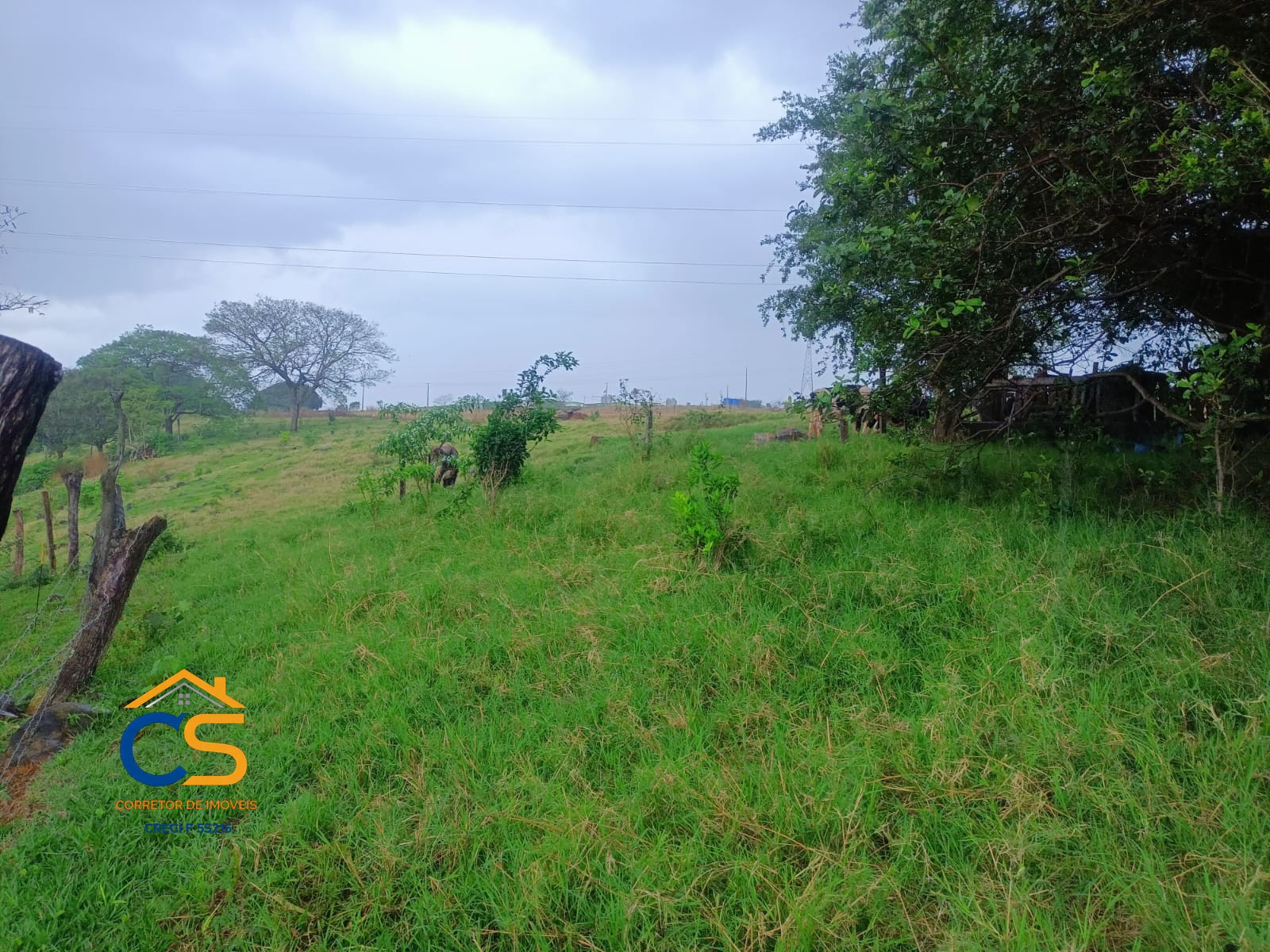 Sitio á venda 22 Alqueires  em Matelândia - Pr Linha Barreirão