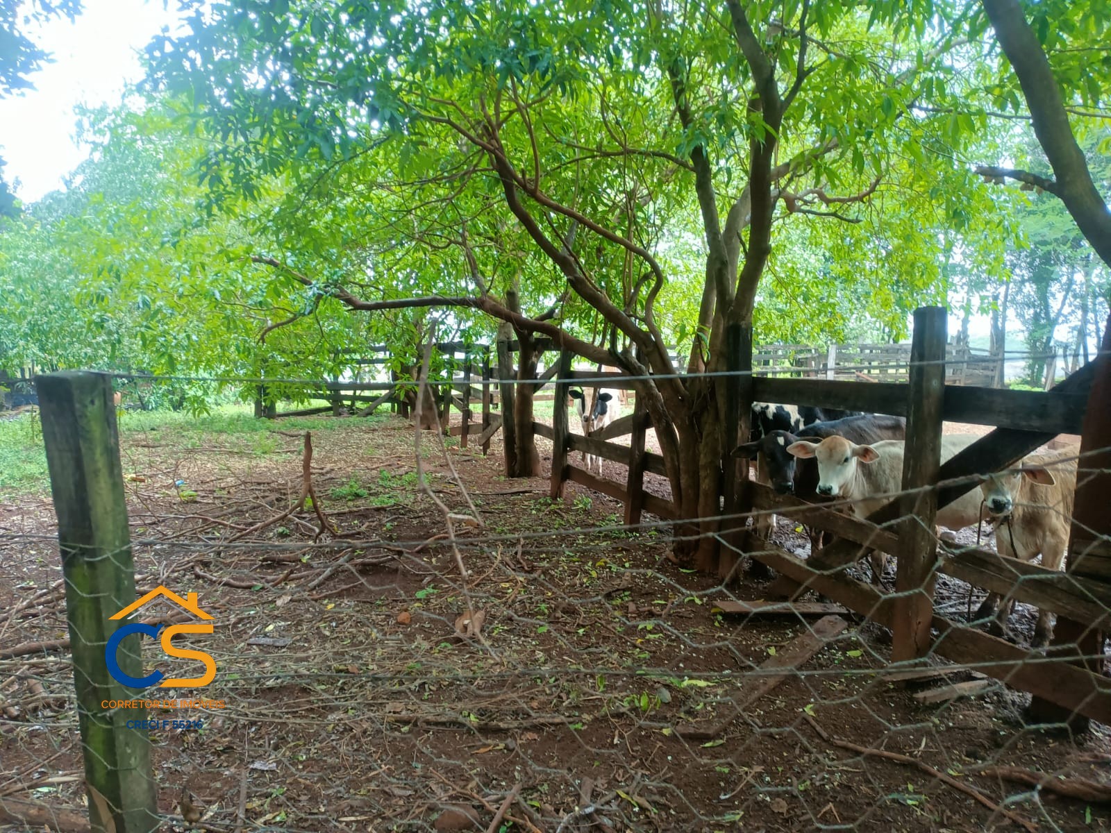 Sitio á venda 22 Alqueires  em Matelândia - Pr Linha Barreirão - Foto 3