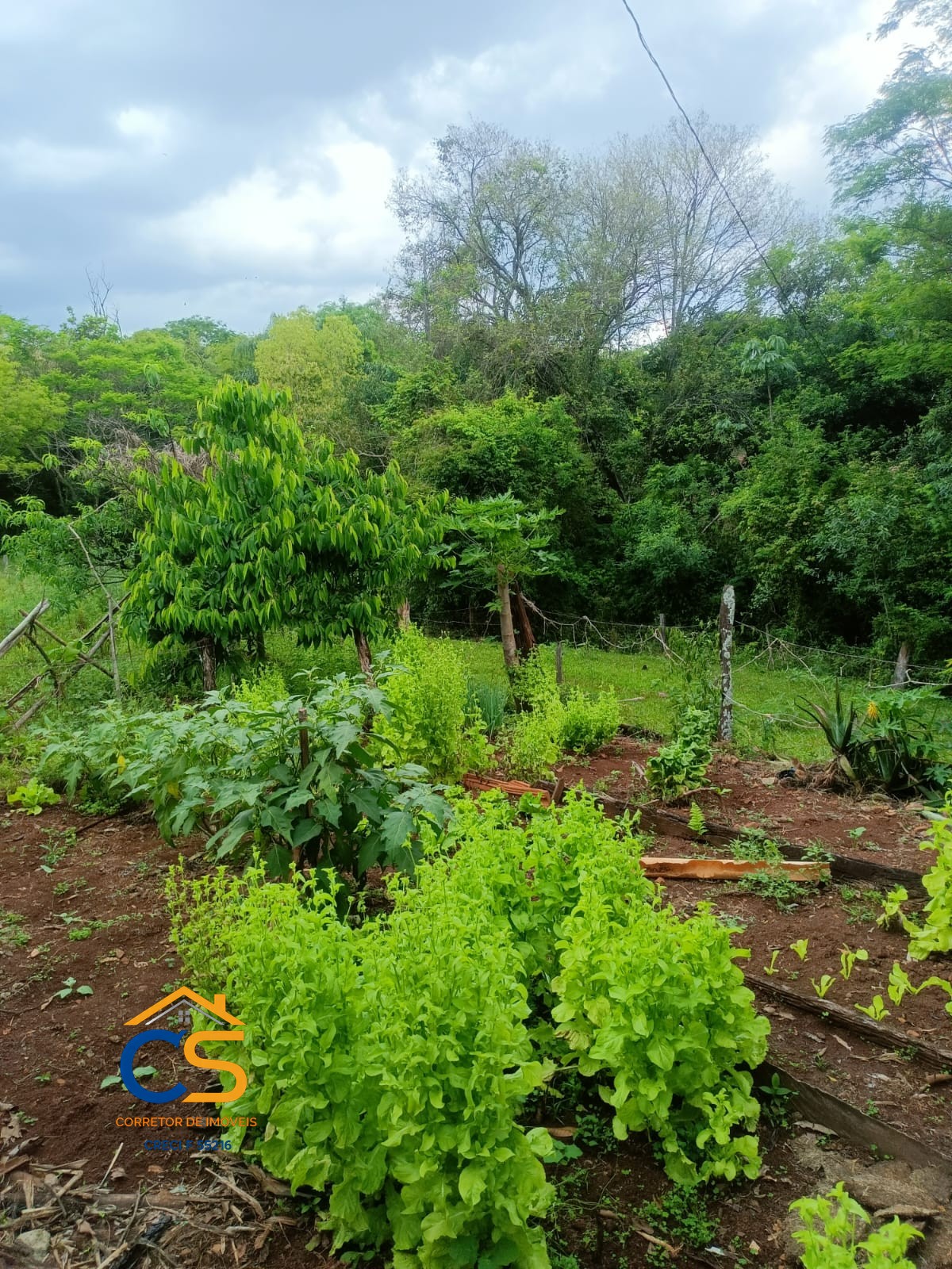 Sitio á venda 22 Alqueires  em Matelândia - Pr Linha Barreirão - Foto 5