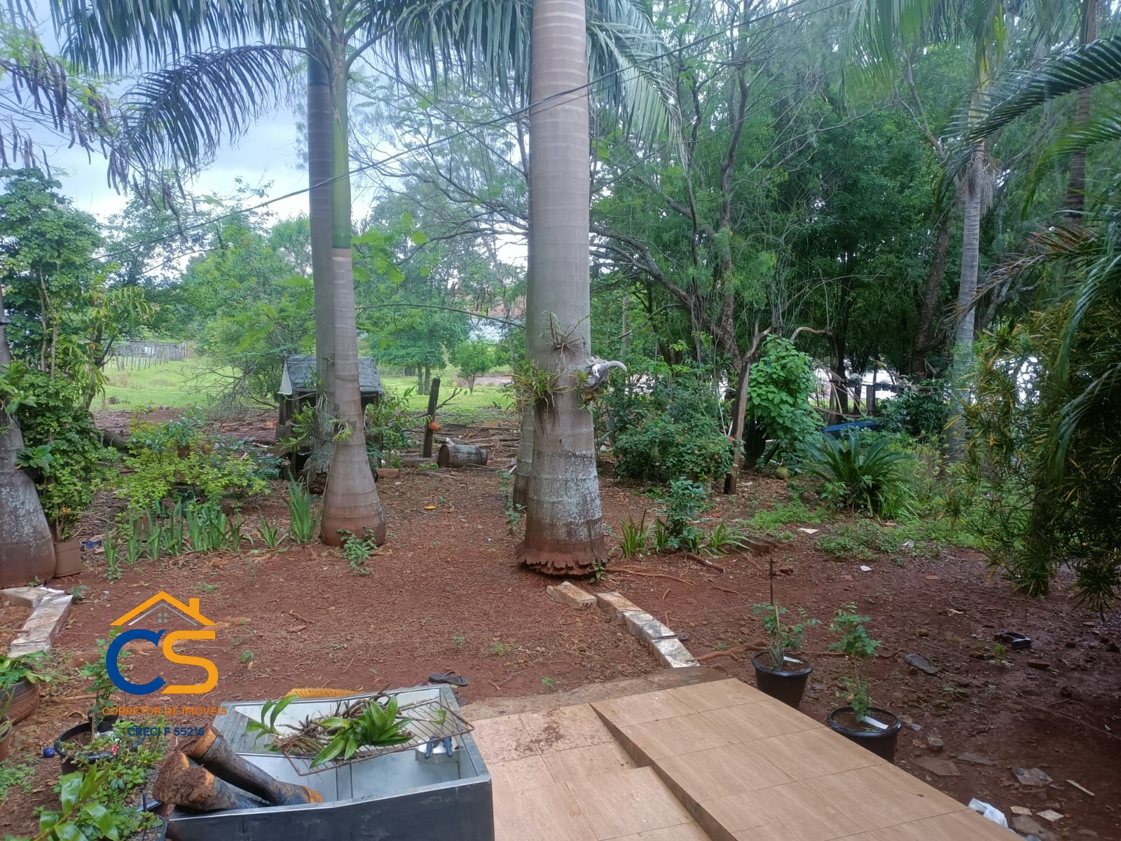 Sitio á venda 22 Alqueires  em Matelândia - Pr Linha Barreirão - Foto 11