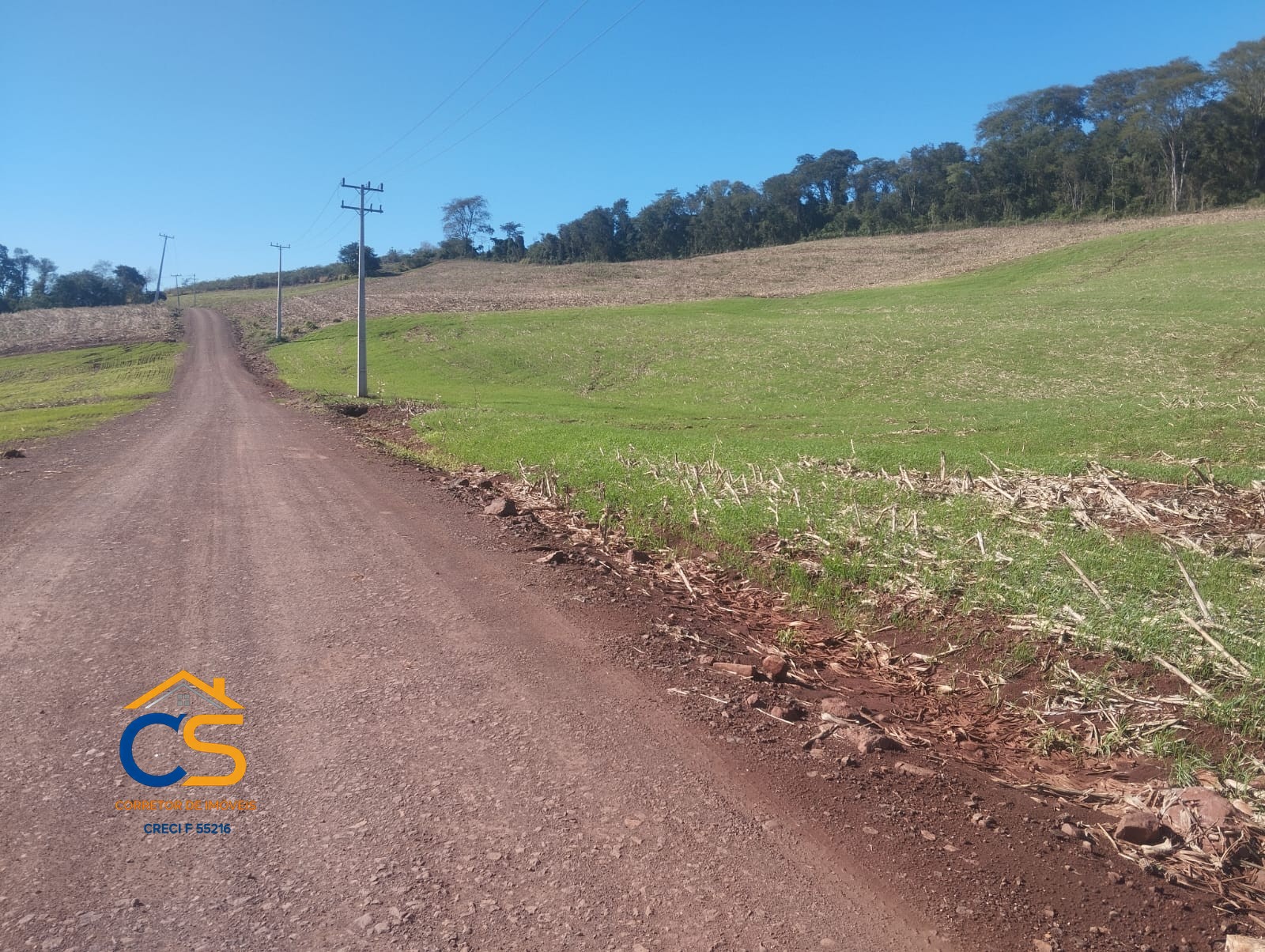 Sitio 10 alqueires à Venda em Missal, PR - Foto 4