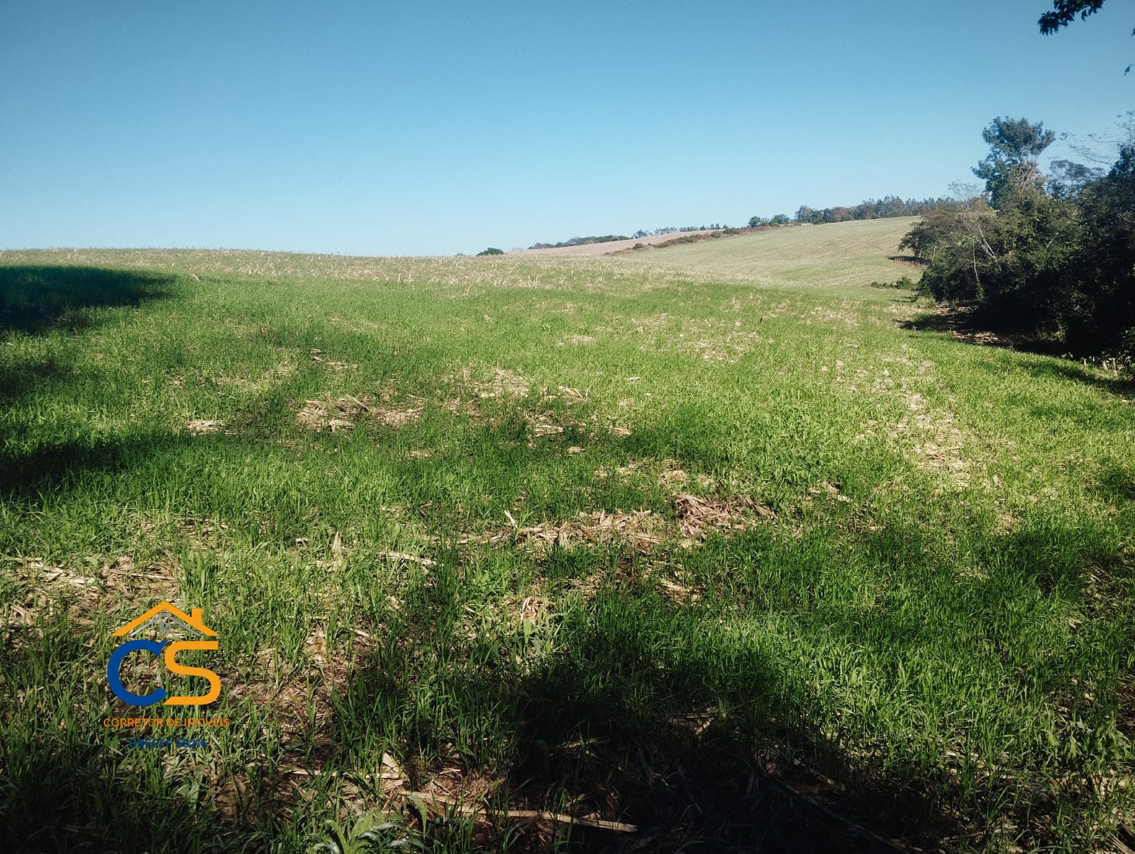 Sitio 10 alqueires à Venda em Missal, PR - Foto 3