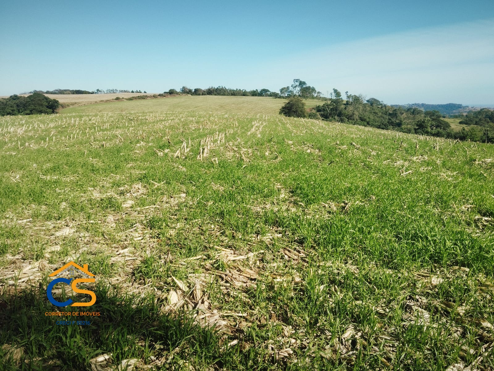 Sitio 10 alqueires à Venda em Missal, PR - Foto 5