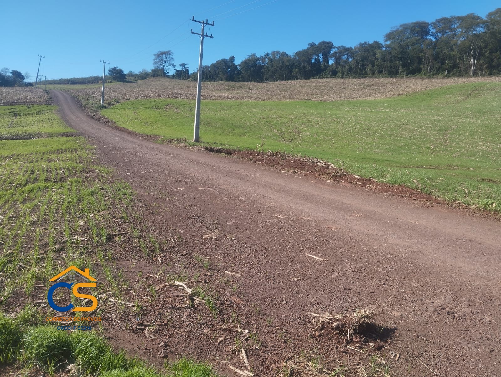 Sitio 10 alqueires à Venda em Missal, PR - Foto 6