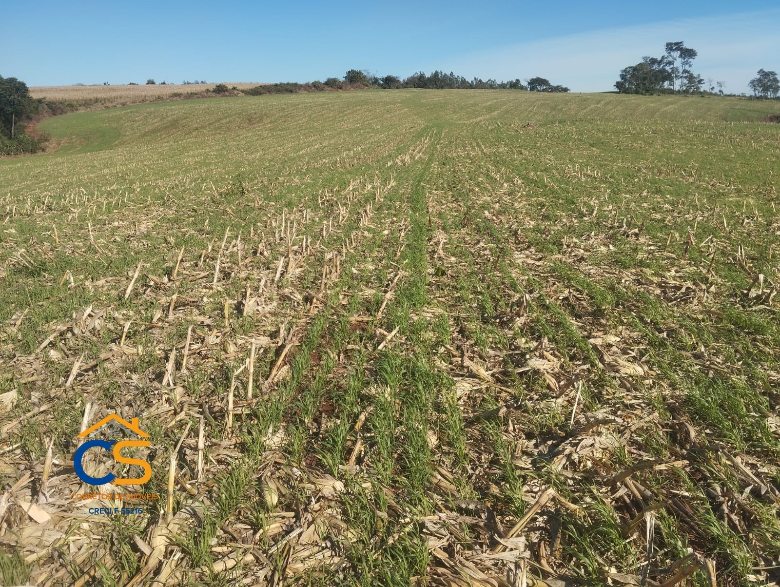 Sitio 10 alqueires à Venda em Missal, PR - Foto 6