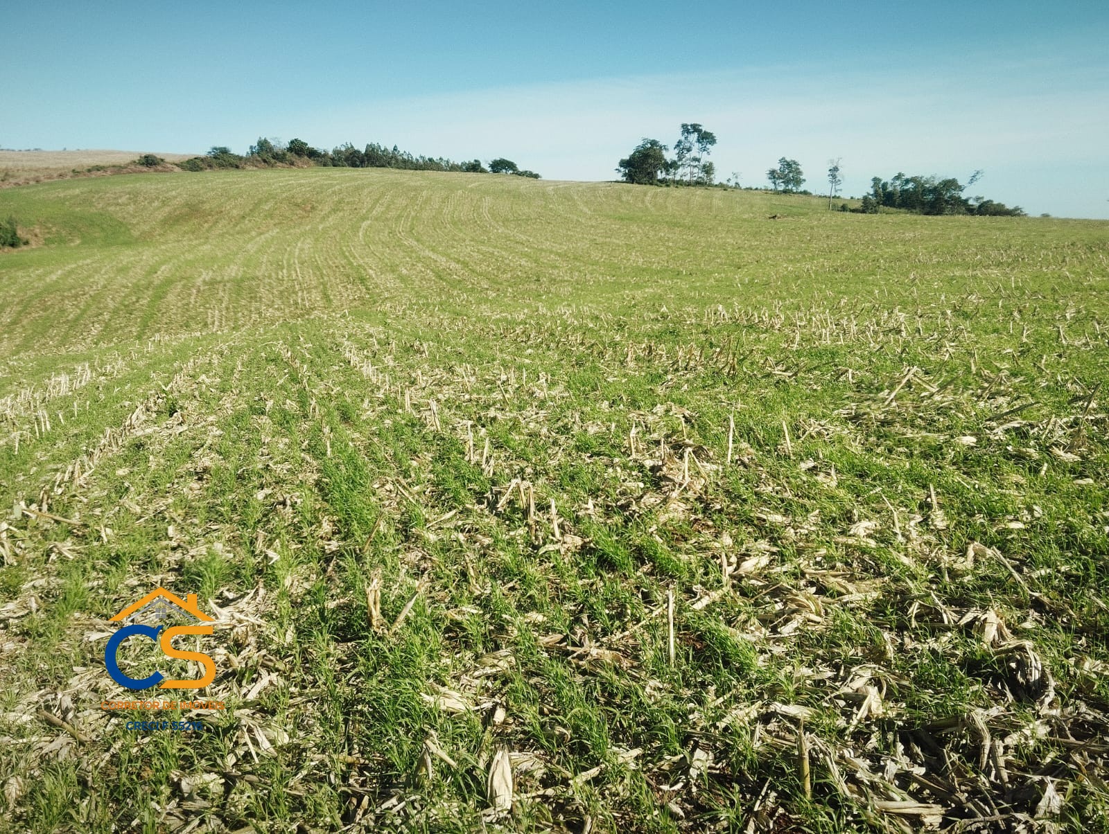 Sitio 10 alqueires à Venda em Missal, PR - Foto 8