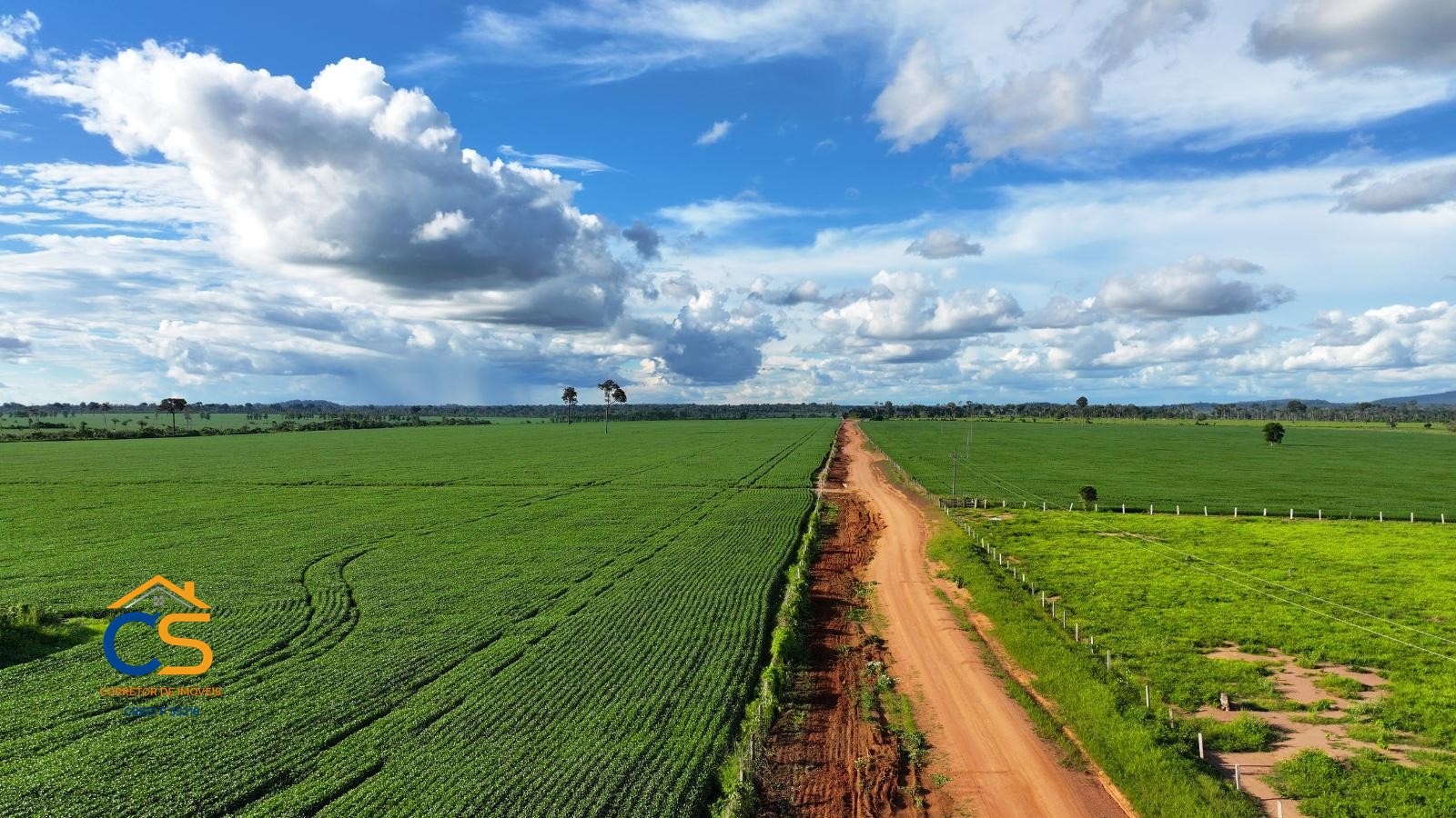Fazenda à Venda em Rondônia – Região Vale do Guaporé, á 10 km da BR-429 - Foto 4