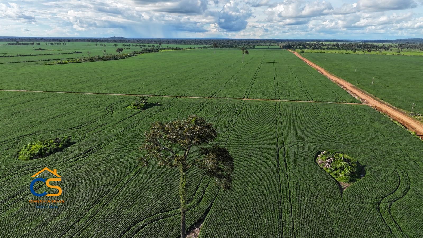 Fazenda à Venda em Rondônia – Região Vale do Guaporé, á 10 km da BR-429
