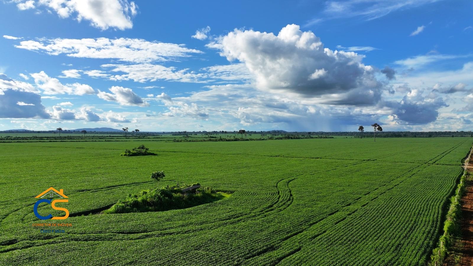 Fazenda à Venda em Rondônia – Região Vale do Guaporé, á 10 km da BR-429 - Foto 7