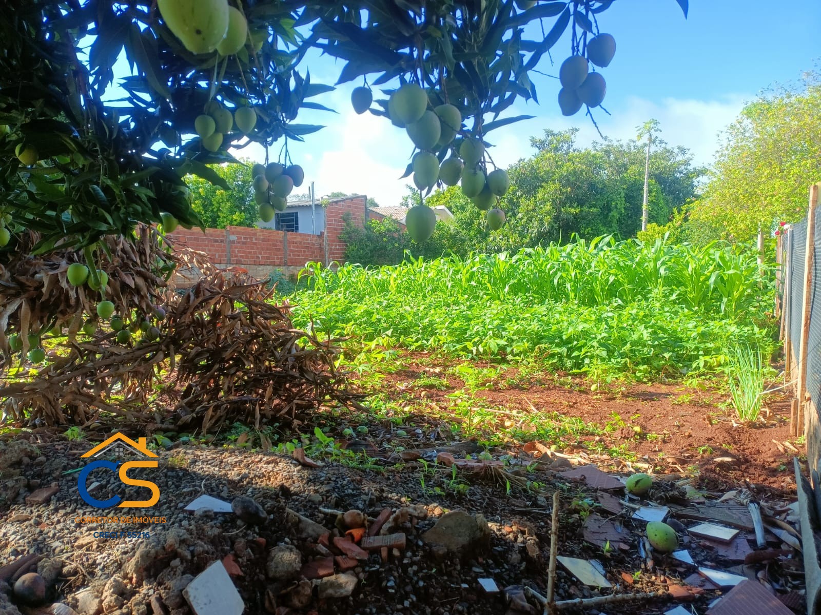 Vende-se terreno localizado no loteamento Birck Missal-PR - Foto 6