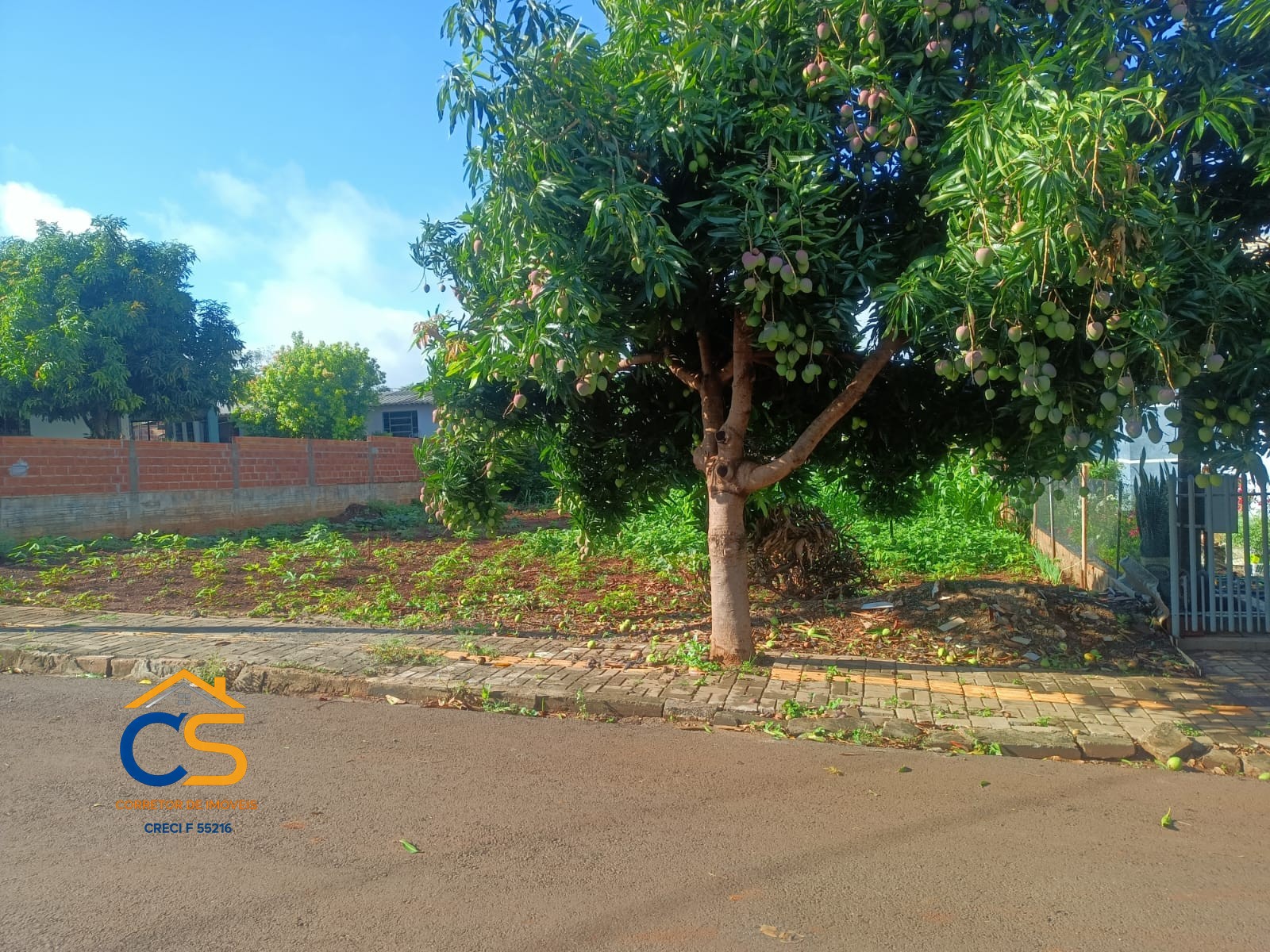 Vende-se terreno localizado no loteamento Birck Missal-PR - Foto 5