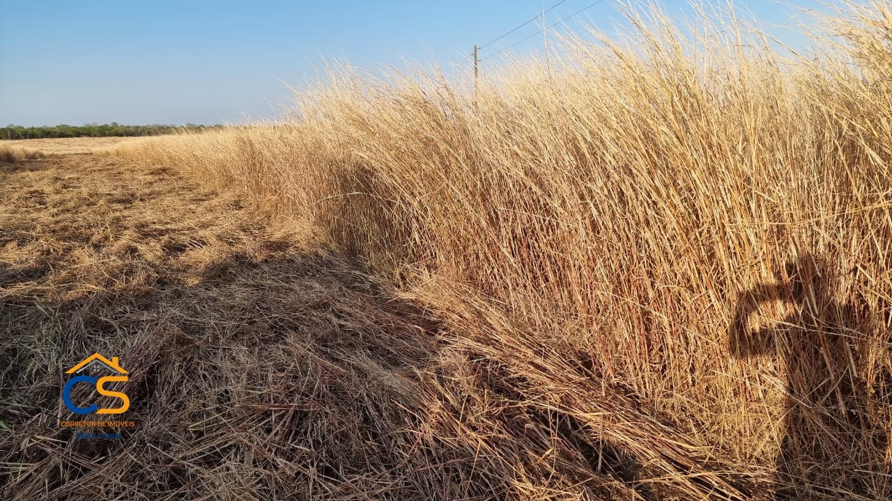 Fazenda à Venda em Mato Grosso do Norte!  Localizada em Poxoréu, - Foto 10