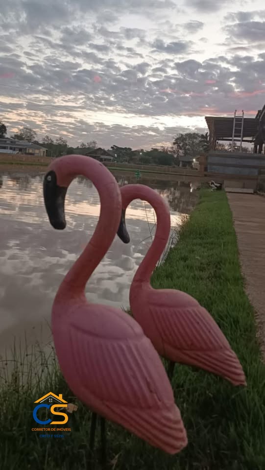 Chácara à Venda  Linha da Granja em Missal, PR - Foto 4