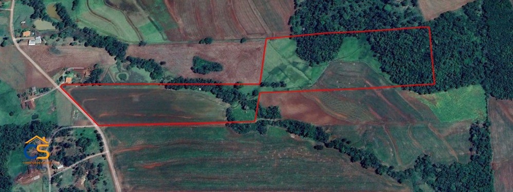 Sitio Medianeira -PR  Linha São Bernardo - Foto 4