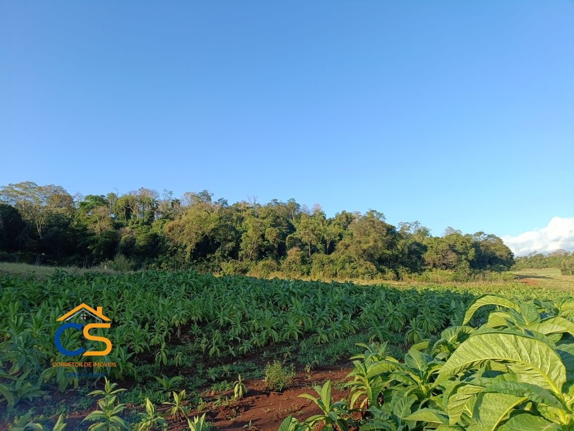 Sitio Medianeira -PR  Linha São Bernardo - Foto 5