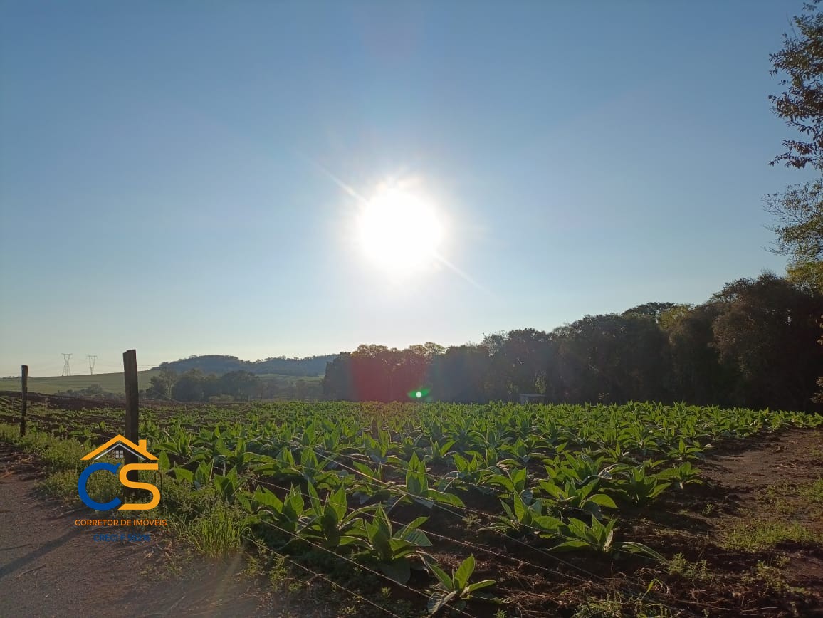 Sitio Medianeira -PR  Linha São Bernardo - Foto 3