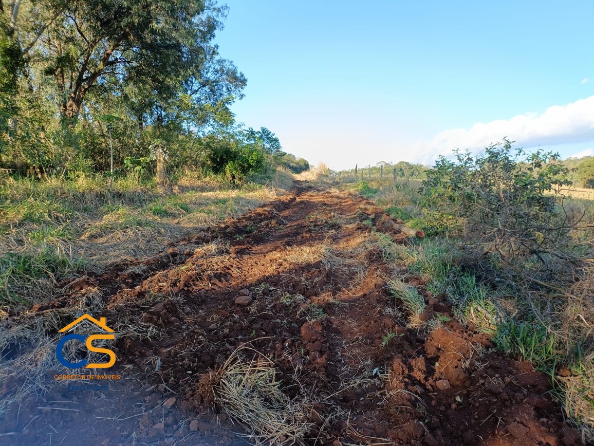 Sitio Medianeira -PR  Linha São Bernardo - Foto 6