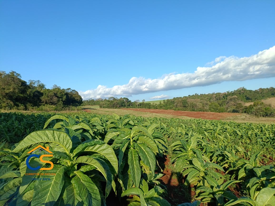Sitio Medianeira -PR  Linha São Bernardo